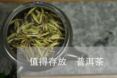 值得存放 普洱茶/2023041082705